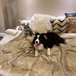 Meet your Posher, William